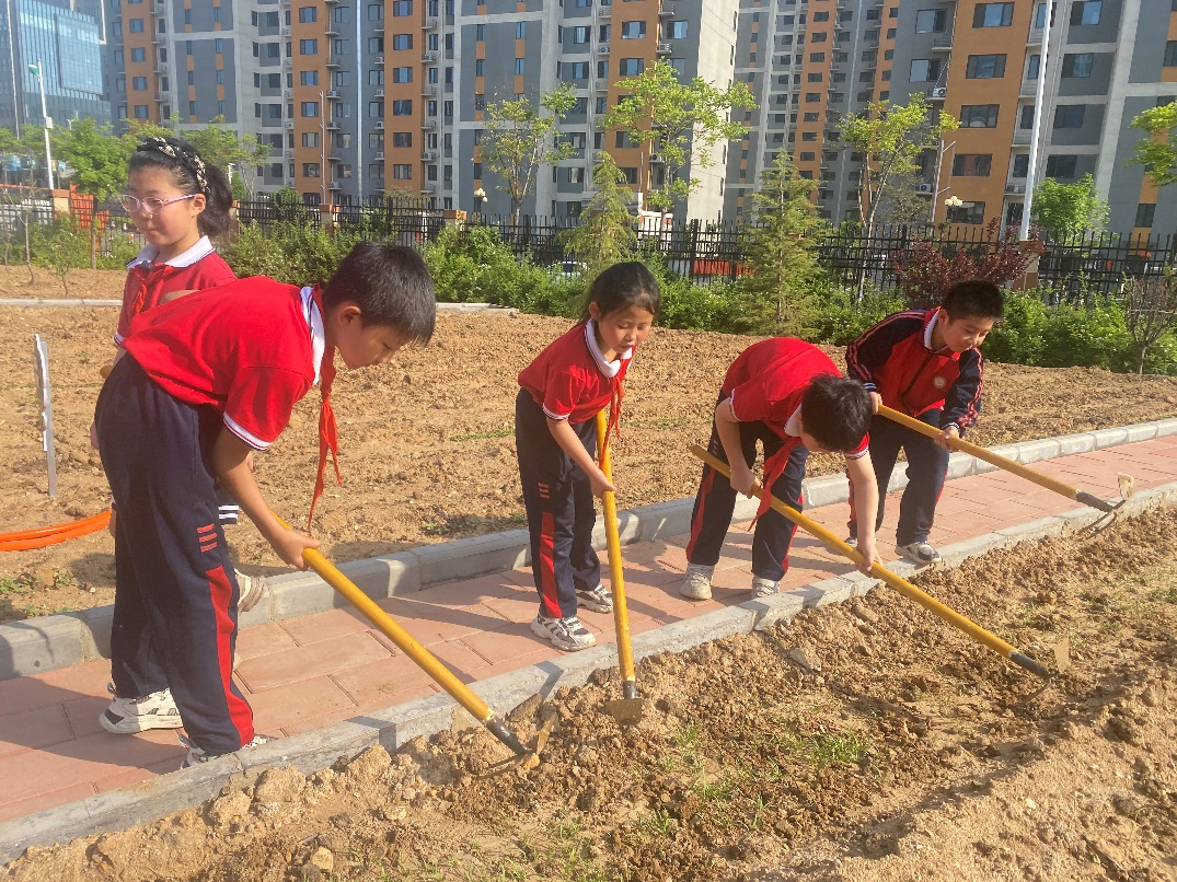 【校園風(fēng)采】高新區(qū)水泉小學(xué)：植根半畝田園 朝向幸福生長